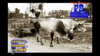 Historia del Jaripeo Charreria Rodeo americano y de Rcho La Herradura [upl. by Eolcin35]