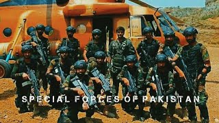 Special Forces of Pakistan 2020  SSGSSGNSSW [upl. by Kinsler]