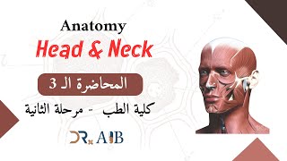 Anatomy  Head amp neck Lec3 [upl. by Julieta]