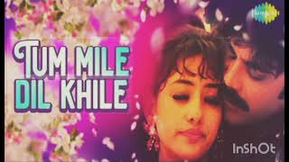 TUM MILE DIL KHILE LYRICS BEST OF BOLLYWOOD ROMANTIC LYRICS LOFISONG ‎tseries [upl. by Lukasz]