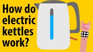 How do electric kettles work  Kitchen Appliance Explained [upl. by Kass]