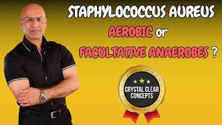 Staphylococcus Aureus  Aerobic or Facultative Anaerobic Bacteria [upl. by Atok573]