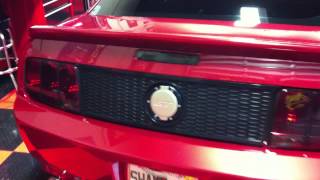 2006 Mustang by Ford  Show Car Shine by Autogeek [upl. by Gladstone]