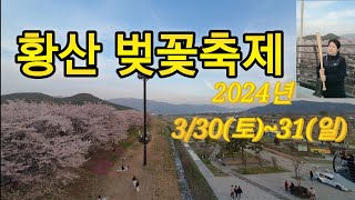 🌸 황산벚꽃축제 부산근교 여행  양산 물금벚꽃축제  숲속 향기🌳맡아보아요 황산공원  숲속 카페  피톤치드  권투 복싱 샌드백 양산 가볼만한 곳  나무 [upl. by Laud]