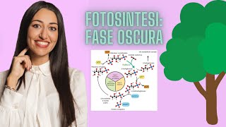 FASE OSCURA DELLA FOTOSINTESI SUPER SEMPLIFICATA [upl. by Boles]