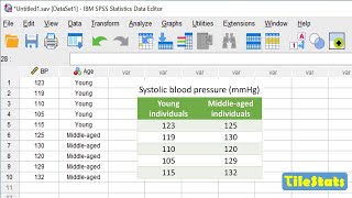 SPSS for beginners in 22 minutes  enter data plot and ttest [upl. by Aremahs]