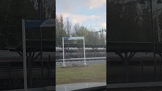 Amtrak Palmetto stops at Selma NC historic station [upl. by Caines]