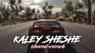 Kaley Sheshe Addy Nagar Slowed Reverb [upl. by Eleon]