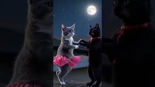 Gatos bailarines😁bailar fpy 4k pareja love michis amordegato amordegato musica musica cat [upl. by Idola]