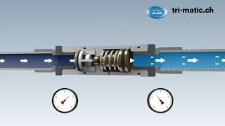 Funktion Druckminderer für Druckluft Werkzeuge und Automation ToolReg® [upl. by Eitsrik514]