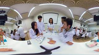 Experiencia 360° USS Bachillerato en Ciencias de la Salud [upl. by Adnicul]