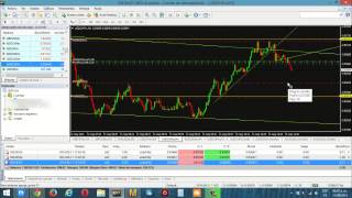 Trading En Vivo Con Zid [upl. by Kciderf]