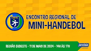 Encontro Regional de MiniHandebol 2024  Região Sudeste [upl. by Nnaitak531]