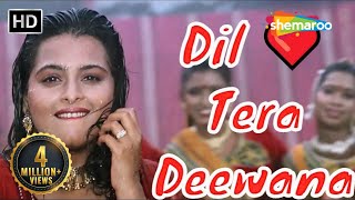 Dil Tera Deewana Hai  Kumar Sanu Hit songs  Sunil Shetty  Shilpa Shirodkar  Raghuveer [upl. by Ynattir618]