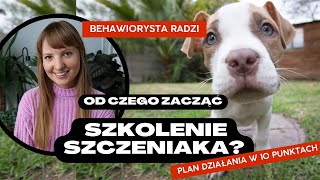 SZKOLENIE SZCZENIAKA  od czego zacząć Plan działania w 10 punktach [upl. by Allayne]