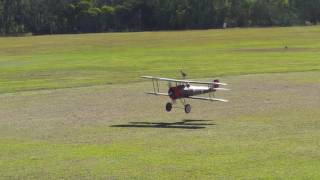 Nieuport 28 Rc plane [upl. by Ihcelek]