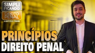 PRINCÍPIOS do Direito Penal Resumo Completo e Essencial p Provas [upl. by Nogam]