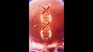 Monoclonal antibodies👍👍 [upl. by Inattyrb]