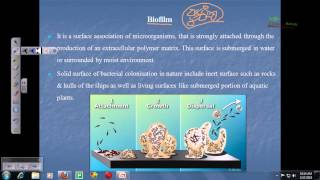 Biofilm and microbial mats [upl. by Eva]