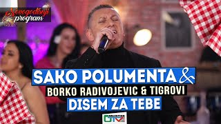 SAKO POLUMENTA  DISEM ZA TEBE  2022  UZIVO UZ ORK BORKO RADIVOJEVIC ampTIGROVI  OTV VALENTINO [upl. by Naryt]