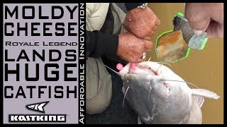 Moldy Cheese Lands HUGE CATFISH  Caught on KastKing Royale Legend and 14 Pound Mono  2Bears [upl. by Skoorb]