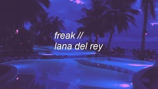 freak  lana del rey lyrics [upl. by Oiramed]