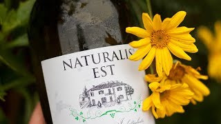 WineampFood rec Recensione Vino Bianco Senza Solfiti Teo Costa Naturalis EST [upl. by Malvie649]