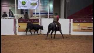 2013 AQHA Versatility Ranch Horse Open World Champion [upl. by Eillit]