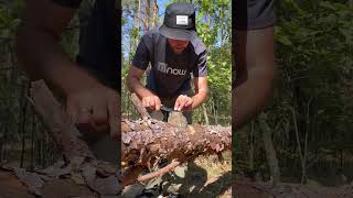 Easy way to SHARPEN a KNIFE in the wild [upl. by Eicats]