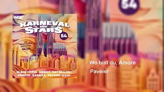 Paveier  Wo bist du Amore Karneval der Stars 54 [upl. by Aseretairam893]