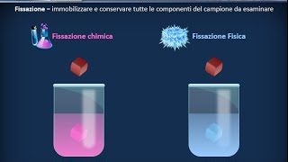 Istologia 01  Nozioni di microscopia e preparazione dei campioni [upl. by Ennayrb]