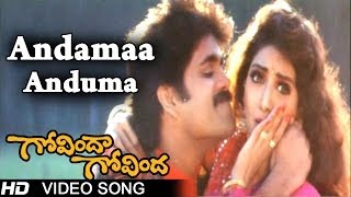 Govinda Govinda Movie  Andamaa Anduma Video Song  Nagarjuna  Sridevi  shalimarcinema [upl. by Buerger]