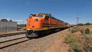 CLF2 4904 amp CLP12 LE Condobolin NSW Sat 02nd Nov 2024 [upl. by Knah]