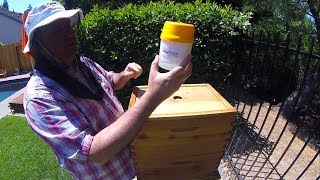 Varroa EasyCheck  Product Review [upl. by Nilerual]