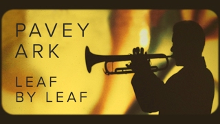 Pavey Ark  Leaf by Leaf Official Music Video [upl. by Marabelle587]