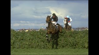 The BBC Grand National 1984  Hallo Dandy [upl. by Pernas992]