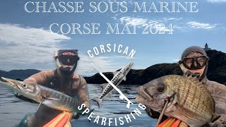 CHASSE SOUS MARINE MAI 2024 [upl. by Tooley676]