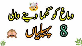 New 8 paheliyan 2021riddles Urdu an Hindistartv Urdugeneral knowledge [upl. by Inol]