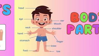 Body Parts Song for Kids  Fun and Educational Rhymes [upl. by Addison803]