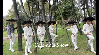 Mariachis Bogotá  Mariachi Juvenil Colombia Show  Serenatas Bogota  CEL 3107858421 [upl. by Speroni20]