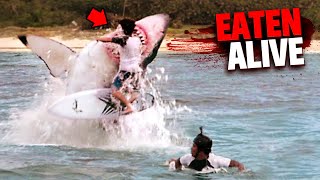 Eaten Alive By Sharks MARATHON [upl. by Royd]