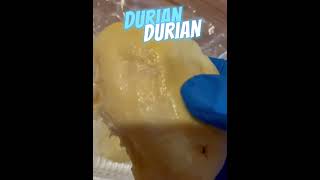 King vs Monthong fypシ゚ durian [upl. by Eidolem]