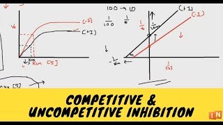 Competitive and Uncompetitive Inhibition  Reversible Inhibition Part 1 [upl. by Bobbee207]