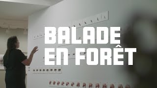 Exposition Balade en forêt présentée au MBAS du 26 septembre 2024 au 5 janvier 2025 [upl. by Zielsdorf]