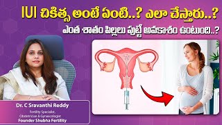 IUI Treatment Procedure amp Success Rates in Telugu  Dr C Sravanthi Reddy Fertility Specialist [upl. by Kannan334]