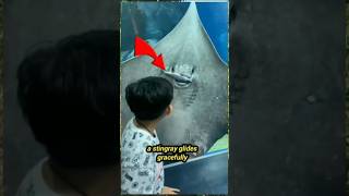 Mesmerized by Majestic Marine Life  Kids Explore the Aquarium [upl. by Anawait]