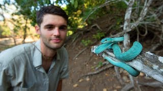 Wildlife filming and photography  Living Zoology in Komodo NP [upl. by Eerrahs]