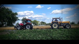 Case Farmall 95a Vs Ursus 1614 [upl. by Zach]