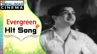 Evergreen Hit Song of The Day  Ravoyi Chandamama Video Song  Shalimarcinema  Shlimarcinema [upl. by Egnalos]