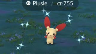 Magnetiic Study Limited Time Research SHINY PLUSLE in Pokemon Go [upl. by Mortimer]